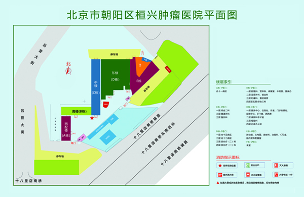 最爱操逼网北京市朝阳区桓兴肿瘤医院平面图